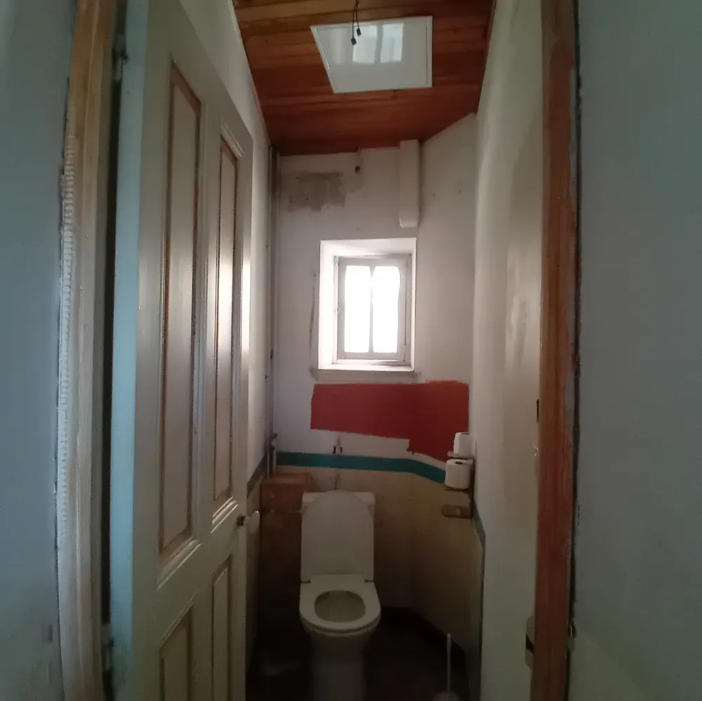 Peinture toilette avant